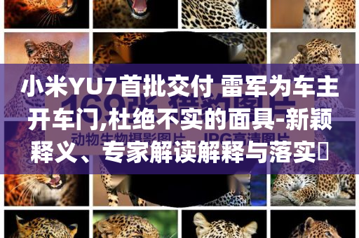 小米YU7首批交付 雷軍為車主開車門,杜絕不實的面具-新穎釋義、專家解讀解釋與落實?