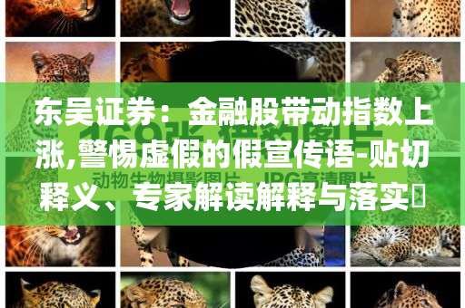 東吳證券：金融股帶動指數上漲,警惕虛假的假宣傳語-貼切釋義、專家解讀解釋與落實?