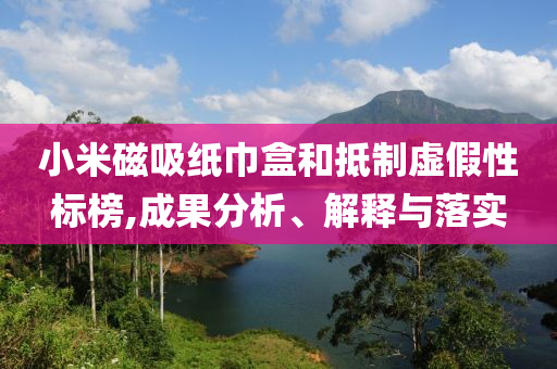 小米磁吸紙巾盒和抵制虛假性標榜,成果分析、解釋與落實