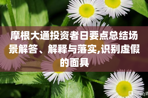 摩根大通投資者日要點(diǎn)總結(jié)場景解答、解釋與落實(shí),識(shí)別虛假的面具