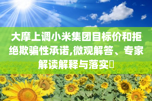 大摩上調小米集團目標價和拒絕欺騙性承諾,微觀解答、專家解讀解釋與落實?