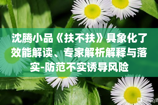 沈騰小品《扶不扶》具象化了效能解讀、專家解析解釋與落實-防范不實誘導(dǎo)風(fēng)險