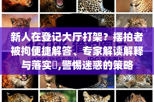 新人在登記大廳打架？擺拍者被拘便捷解答、專家解讀解釋與落實(shí)?,警惕迷惑的策略