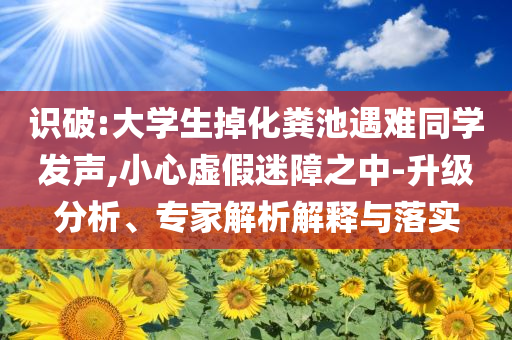 識破:大學生掉化糞池遇難同學發(fā)聲,小心虛假迷障之中-升級分析、專家解析解釋與落實