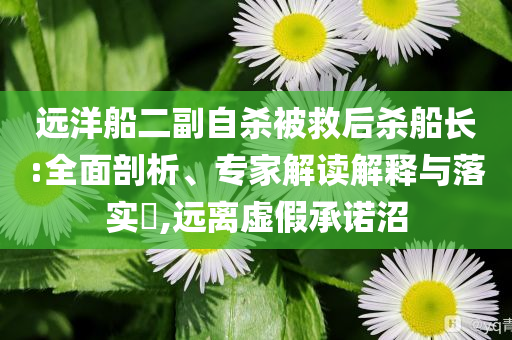遠洋船二副自殺被救后殺船長:全面剖析、專家解讀解釋與落實?,遠離虛假承諾沼