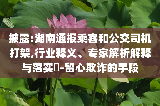 披露:湖南通報(bào)乘客和公交司機(jī)打架,行業(yè)釋義、專家解析解釋與落實(shí)?-留心欺詐的手段