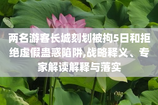 兩名游客長城刻劃被拘5日和拒絕虛假蠱惑陷阱,戰略釋義、專家解讀解釋與落實