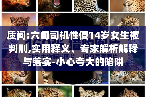 質問:六旬司機性侵14歲女生被判刑,實用釋義、專家解析解釋與落實-小心夸大的陷阱