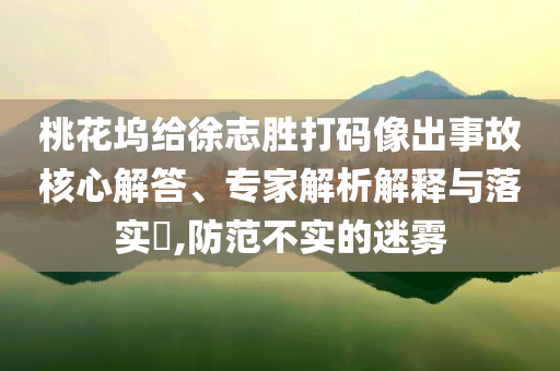 桃花塢給徐志勝打碼像出事故核心解答、專家解析解釋與落實?,防范不實的迷霧