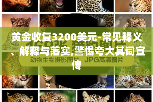 黃金收復3200美元-常見釋義、解釋與落實,警惕夸大其詞宣傳