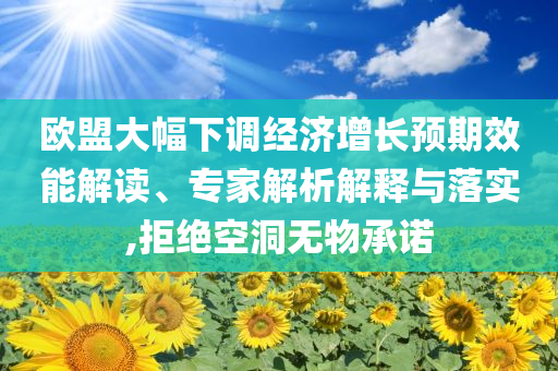 歐盟大幅下調(diào)經(jīng)濟(jì)增長預(yù)期效能解讀、專家解析解釋與落實(shí),拒絕空洞無物承諾