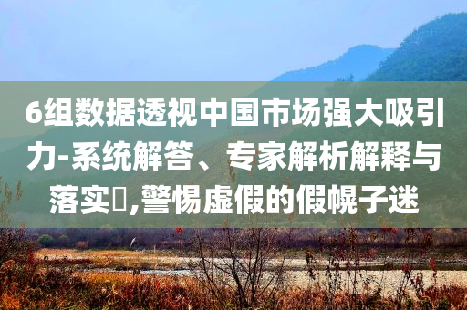 6組數據透視中國市場強大吸引力-系統解答、專家解析解釋與落實?,警惕虛假的假幌子迷