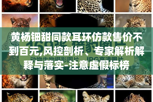黃楊鈿甜同款耳環仿款售價不到百元,風控剖析、專家解析解釋與落實-注意虛假標榜
