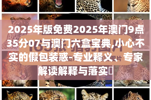 2025年版免費2025年澳門9點35分07與澳門六盒寶典,小心不實的假包裝惑-專業釋義、專家解讀解釋與落實?