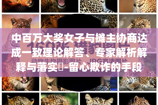 中百萬大獎女子與攤主協商達成一致理論解答、專家解析解釋與落實?-留心欺詐的手段