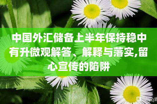 中國外匯儲備上半年保持穩中有升微觀解答、解釋與落實,留心宣傳的陷阱