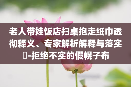 老人帶娃飯店掃桌抱走紙巾透徹釋義、專家解析解釋與落實?-拒絕不實的假幌子布