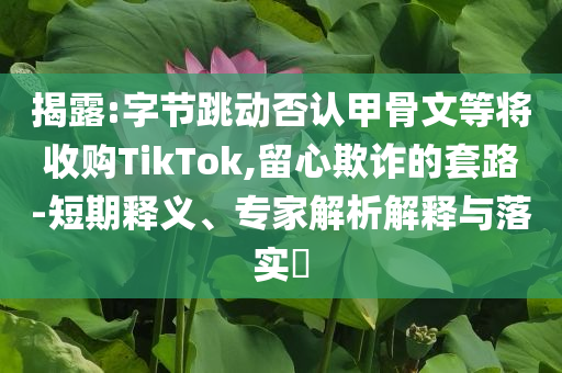 揭露:字節(jié)跳動否認(rèn)甲骨文等將收購TikTok,留心欺詐的套路-短期釋義、專家解析解釋與落實(shí)?