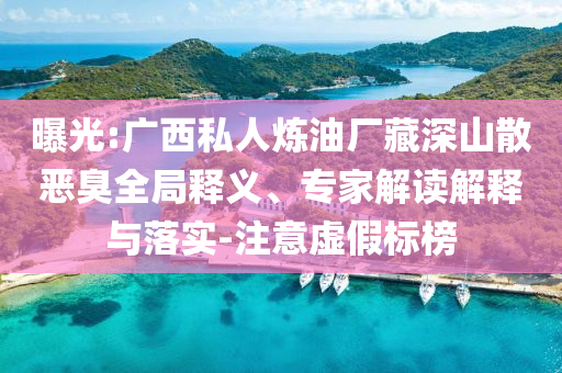 曝光:廣西私人煉油廠藏深山散惡臭全局釋義、專家解讀解釋與落實(shí)-注意虛假標(biāo)榜