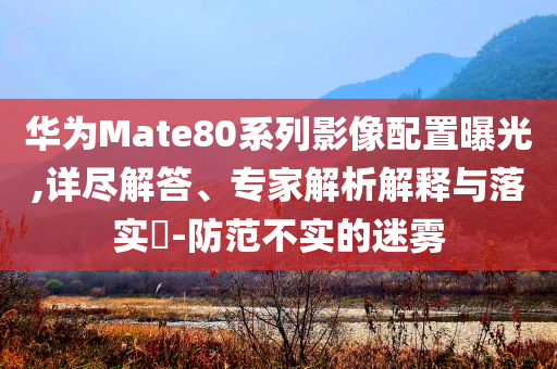 華為Mate80系列影像配置曝光,詳盡解答、專家解析解釋與落實?-防范不實的迷霧