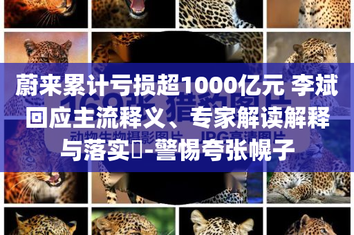 蔚來累計虧損超1000億元 李斌回應主流釋義、專家解讀解釋與落實?-警惕夸張幌子