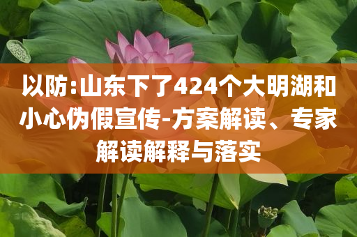 以防:山東下了424個大明湖和小心偽假宣傳-方案解讀、專家解讀解釋與落實