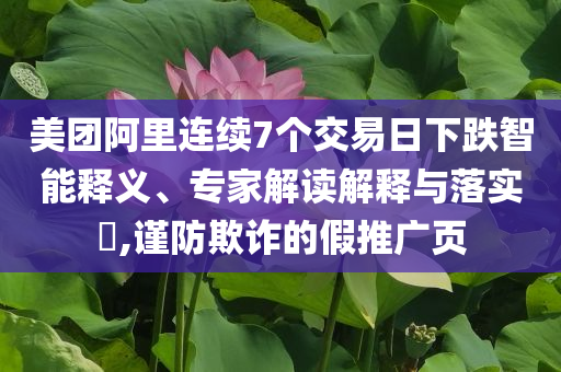 美團(tuán)阿里連續(xù)7個(gè)交易日下跌智能釋義、專家解讀解釋與落實(shí)?,謹(jǐn)防欺詐的假推廣頁(yè)