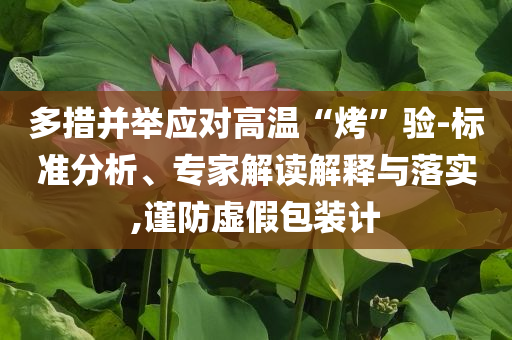 多措并舉應(yīng)對高溫“烤”驗-標(biāo)準(zhǔn)分析、專家解讀解釋與落實,謹(jǐn)防虛假包裝計