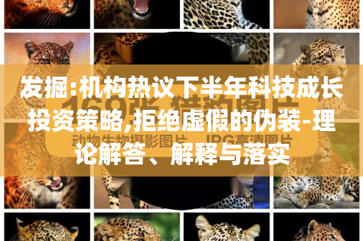 發(fā)掘:機構(gòu)熱議下半年科技成長投資策略,拒絕虛假的偽裝-理論解答、解釋與落實