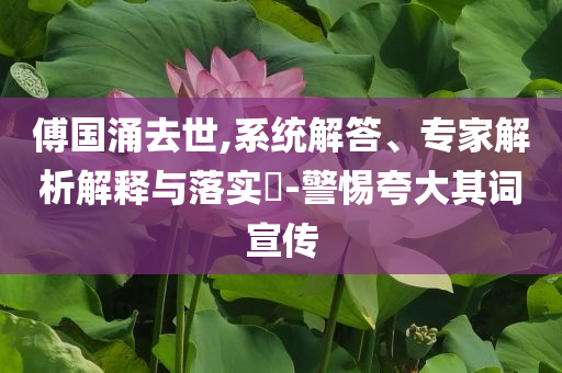 傅國涌去世,系統(tǒng)解答、專家解析解釋與落實?-警惕夸大其詞宣傳