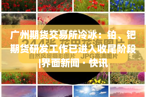 廣州期貨交易所冷冰：鉑、鈀期貨研發(fā)工作已進入收尾階段|界面新聞 · 快訊