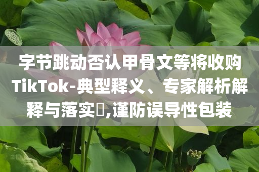 字節跳動否認甲骨文等將收購TikTok-典型釋義、專家解析解釋與落實?,謹防誤導性包裝