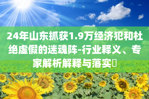 24年山東抓獲1.9萬經濟犯和杜絕虛假的迷魂陣-行業(yè)釋義、專家解析解釋與落實?