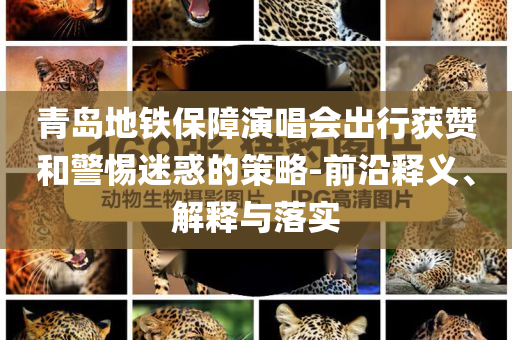 青島地鐵保障演唱會出行獲贊和警惕迷惑的策略-前沿釋義、解釋與落實