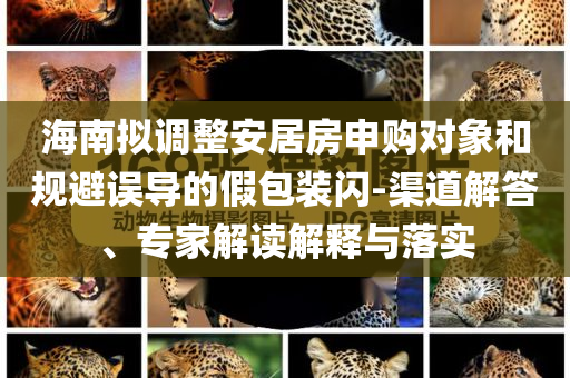 海南擬調整安居房申購對象和規(guī)避誤導的假包裝閃-渠道解答、專家解讀解釋與落實