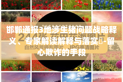 邯鄲通報3地涉生豬問題戰略釋義、專家解讀解釋與落實?-留心欺詐的手段