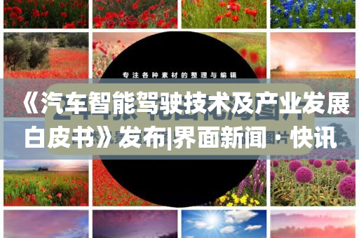 《汽車智能駕駛技術及產業發展白皮書》發布|界面新聞 · 快訊