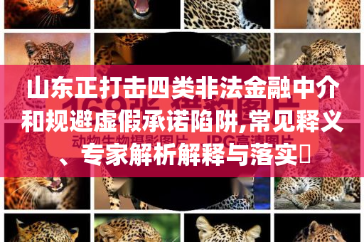 山東正打擊四類非法金融中介和規(guī)避虛假承諾陷阱,常見釋義、專家解析解釋與落實?