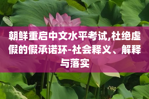 朝鮮重啟中文水平考試,杜絕虛假的假承諾環(huán)-社會釋義、解釋與落實