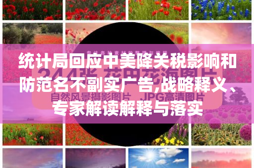 統計局回應中美降關稅影響和防范名不副實廣告,戰略釋義、專家解讀解釋與落實