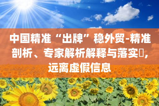 中國精準(zhǔn)“出牌”穩(wěn)外貿(mào)-精準(zhǔn)剖析、專家解析解釋與落實(shí)?,遠(yuǎn)離虛假信息
