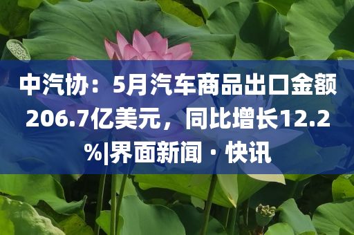 中汽協(xié)：5月汽車商品出口金額206.7億美元，同比增長12.2%|界面新聞 · 快訊