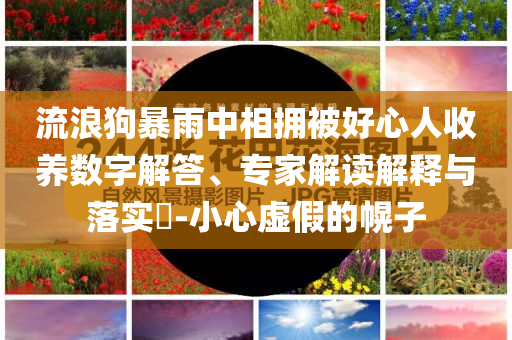 流浪狗暴雨中相擁被好心人收養數字解答、專家解讀解釋與落實?-小心虛假的幌子