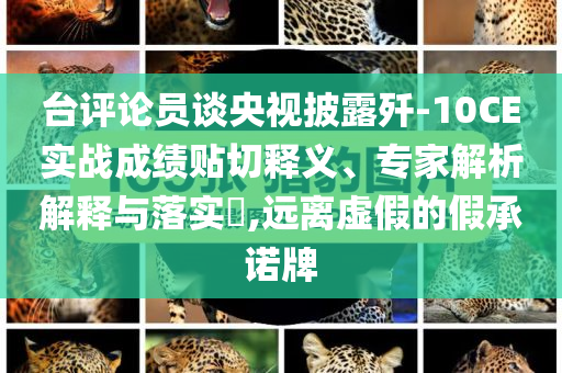 臺評論員談央視披露殲-10CE實戰成績貼切釋義、專家解析解釋與落實?,遠離虛假的假承諾牌
