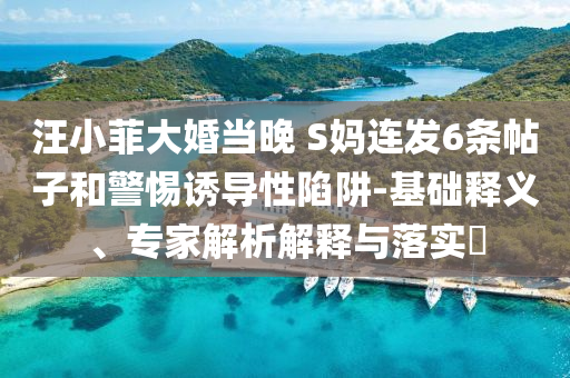 汪小菲大婚當(dāng)晚 S媽連發(fā)6條帖子和警惕誘導(dǎo)性陷阱-基礎(chǔ)釋義、專(zhuān)家解析解釋與落實(shí)?
