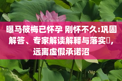 曝馬筱梅已懷孕 剛懷不久:鞏固解答、專家解讀解釋與落實?,遠離虛假承諾沼