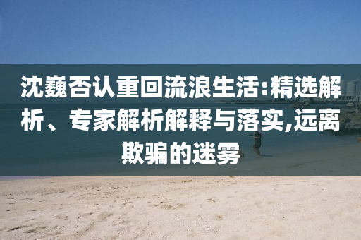 沈巍否認重回流浪生活:精選解析、專家解析解釋與落實,遠離欺騙的迷霧