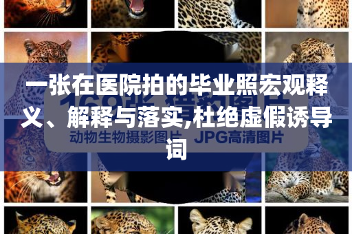 一張在醫(yī)院拍的畢業(yè)照宏觀釋義、解釋與落實,杜絕虛假誘導(dǎo)詞