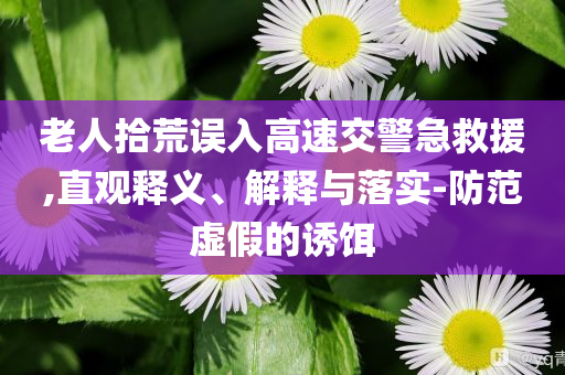 老人拾荒誤入高速交警急救援,直觀釋義、解釋與落實(shí)-防范虛假的誘餌