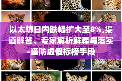 以太坊日內跌幅擴大至8%,渠道解答、專家解析解釋與落實-謹防虛假標榜手段
